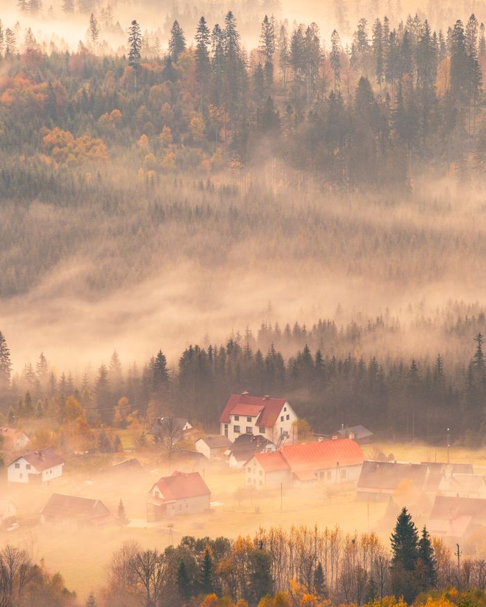 Beautiful misty autumn morning over a serene village with forest and colorful foliage.